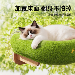 Hamac pour chat chaud automne-hiver, hamac pour chat en bois massif, hamac à ventouse pour fenêtre, hamac spacieux, transfrontalier - Product Image 5