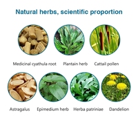 Thé de Fertilité Masculine de Haute Qualité pour la Santé de la Prostate, Thé Herbal Naturel Revitalisant, Emballage Boîte Tasse, Prix Usine, Vente en Gros