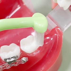 Sabedoria Dentes Implante Escova De Dente Ortodôntico Conjunto Único Ponto Feixe Ortodôntico Único Tuft Toothbrush - Product Image 5