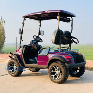 Carrito de Golf Eléctrico de 2 Plazas con Batería de Litio, Vehículo Eléctrico de Nueva Energía Directo de Fábrica, Piezas de Carrito de Golf Eléctrico en Venta - Product Image 3