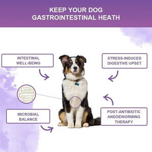 Integratore Digestivo <span class=keywords><strong>per</strong></span> Animali Domestici ad Alto Contenuto Proteico, Granuli Morbidi Efficaci, Probiotici Masticabili <span class=keywords><strong>per</strong></span> <span class=keywords><strong>Cani</strong></span> con <span class=keywords><strong>Olio</strong></span> <span class=keywords><strong>di</strong></span> <span class=keywords><strong>Cocco</strong></span> <span class=keywords><strong>per</strong></span> Migliorare la Digestione - Product Image 4