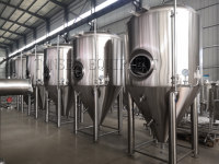 Cuve de Fermentation Conique en Acier Inoxydable de Qualité Alimentaire Tonsen avec Manomètre, Capacité 25-45 Mètres Cubes, 20/380V