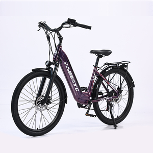 Chenlu CE TUV approuvé batterie cachée 250W 350W moteur arrière bébé adulte poids léger vélo de ville électrique ebike vélo - Product Image 6