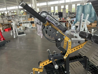 NO.31 Glute Ham Raise Machine d'entraînement multifonctionnelle pour musculation, extensions de hanche et dos, et abdominaux, pour salle de sport commerciale GHD