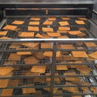 Appareil de cuisson vapeur électrique pour saumon, mini-four à poisson pour restaurant, machine à fumage à froid pour bacon, viande entière, poulet