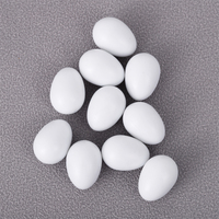 Œufs de pigeon en plastique solide, outils d'aviculture, œufs à couver, décoration DIY pour la maison, fournitures pour oiseaux, œufs de Pâques artificiels