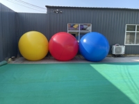Échantillon Gratuit - Ballon Publicitaire Géant Gonflable à l'Hélium à Couleurs Changeantes pour Événements et Promotion Extérieure