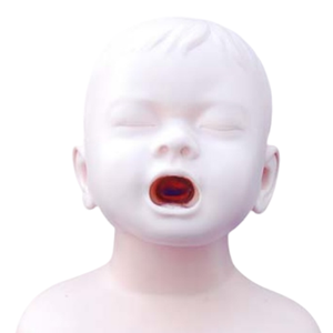 ADA Medical science Infant CPR Training Mannequin et modèle d'obstruction infantile avec modèle d'étouffement pour enfant pour les étudiants à apprendre - Product Image 4