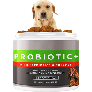 Probiotiques sous Marque Blanche en Bouchées Tendres pour Chiens et Chats – Stimule la Digestion, la <span class=keywords><strong>Flore</strong></span> <span class=keywords><strong>Intestinale</strong></span> et le Système Immunitaire pour les Soins Quotidiens des Animaux - Product Image 1