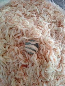 Camarón salado para bebé, camarón, camarón de Camarón, Buen Precio de Vietnam WS/ viber/ kakaotalk 0084 989 322 607 - Product Image 6