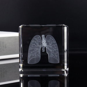 Krankenhaus Souvenirs <span class=keywords><strong>60mm</strong></span> Kristall 3d Laser gravierte Körperteile Modell K9 Kristall würfel