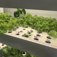 Serre intérieure automatique NFT, système hydroponique vertical, étagère de culture de graines de légumes multicouche