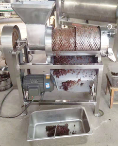 Máquina de Pulpa de Tamarindo de Acero Inoxidable con Motor, Prensa en Frío de Alta Productividad, Precio de Fábrica, Capacidad de 100-200 kg/h, en Venta - Product Image 2