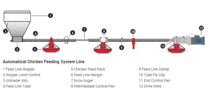 Poultry Farming Automatic Chicken Feeding Pan System Broiler Breeder Feeding Line