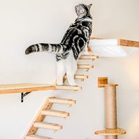 Hamac mural moderne en bambou pour chat avec étagères stables emballées dans un carton pour le sommeil des chats