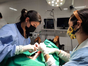 Động Vật Viện Trợ Đầu Tiên Xách Tay Thú Y Dấu Hiệu Quan Trọng Màn Hình Máy Đa Tham Số Giá Tốt Nhất - Product Image 2