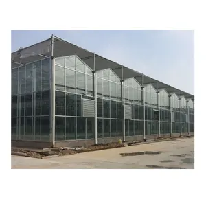 Velno-Glass Agriculture Greenhouse High Quality Greenhouse Agricultural for Flower/Restaurant/Research