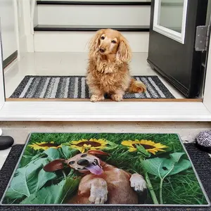 Biểu Tượng Tùy Chỉnh Lối Vào Doormats Cao Su Ngoài Trời Sàn Chân Thảm Nylon In Cá Nhân Thiết Kế Thảm Biểu Tượng Cửa Mat Trong Nhà Cho Nhà