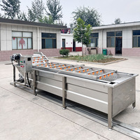 Draagbare wollenrol fruit- en groentewasmachine met transportband voor het wassen van gember en fruit.