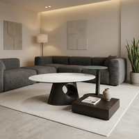 Ensemble de tables basses modernes de luxe en marbre, table centrale ovale et table d'appoint ronde