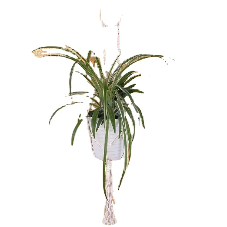 HY zanaat yanzheng bahçe pamuk halat kenevir depolama asılı net sepet orkide saksı el dokuması