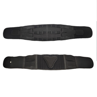 Ceinture de soutien dorsal avec coussin lombaire amovible, double sangles antidérapantes pour les douleurs dorsales, hernie discale, scoliose - Conception en maille respirante