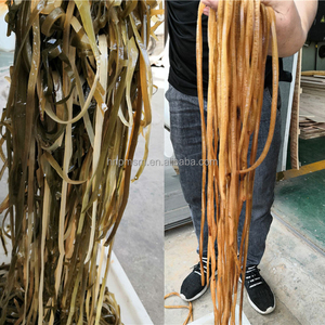 Coupe-légumes à rouleaux, déchiqueteuse, machine à couper les pois, les concombres de mer, les asperges en segments pour la transformation alimentaire - Product Image 4