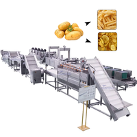 Automatische 304 roestvrijstalen industriële continue frituurlijn voor de verwerking van aardappelchips en diepvriesfrieten