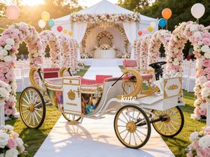 Fabricant professionnel de chariots électriques pour chevaux, chariots royaux, chariots de tourisme - Product Image 1