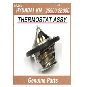 255002B000 / THERMOSTAT ASSY / Genuine Korean Automotive Spare Parts / hyundai kia (mobis)
