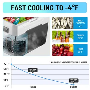 WAYCOOL ALG50 50L Mobile Single Temperature Cooling and Freezing Min Car Fridge with Wheels