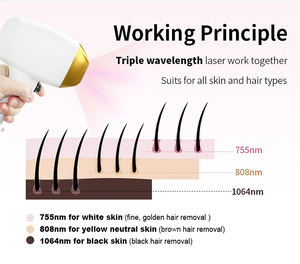 <span class=keywords><strong>Prix</strong></span> usine 3000W haute poignée sans puissance pointe faciale diode <span class=keywords><strong>laser</strong></span> épilation machine 755 + 808 + 1064 3 longueur d'onde pour toutes les peaux - Product Image 6