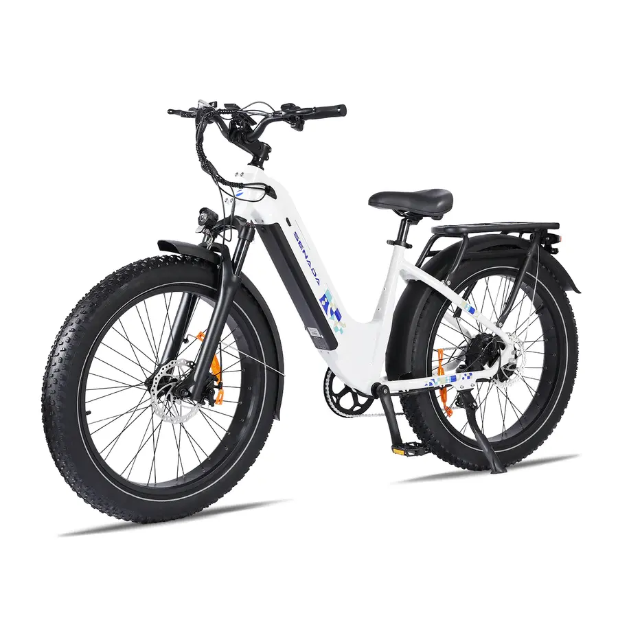 US Dropshipping 750W Hub Motor Removable Battery Mountain Ebike City Bike