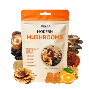 Gomitas Nootrópicas con 10 en 1 Hechas en EE. UU. (OEM), con Melena de León, Ashwagandha, L-Teanina, para la Memoria y el Cerebro, Veganas, de Espectro Completo, para Adultos - Product Image 1