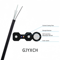 Harga Pabrik Kabel Fiber Optik Drop 1 Core untuk Rumah Dalam Ruangan 1km GJYXCH CN SHG Laris Terjual