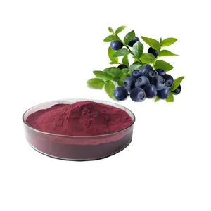 Natuurlijke Acai Gevriesdroogd Poeder Met Rijke Vitamine C Brazilië Acai Bessenpoeder Acai Bessensap Concentraat Poeder