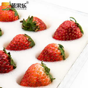 Bọt lót nhựa dùng một lần bao bì hộp cho Dâu Tây món quà trong suốt bao bì dâu tây <span class=keywords><strong>container</strong></span> cho trái cây - Product Image 5