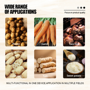 Machine industrielle automatique <span class=keywords><strong>de</strong></span> lavage et <span class=keywords><strong>de</strong></span> pelage <span class=keywords><strong>de</strong></span> manioc, machine <span class=keywords><strong>de</strong></span> nettoyage et <span class=keywords><strong>de</strong></span> pelage <span class=keywords><strong>de</strong></span> patates douces, machine <span class=keywords><strong>de</strong></span> lavage et <span class=keywords><strong>de</strong></span> pelage - Product Image 6