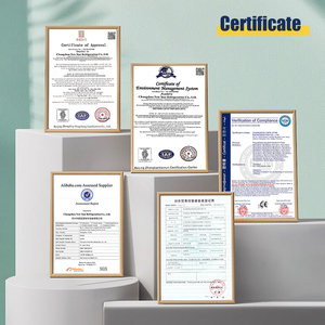 Porte pivotante salle de stockage, axe pivotant, sexy et froid - Product Image 4