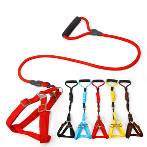 Nuova Linea di Collari e Guinzagli per Cani in Poliestere Personalizzati all'Ingrosso - Product Image 2