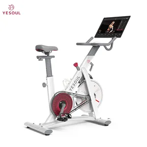 Professional Body Fit Indoor Gym Bicycles Spining Indoor Recumbent Exercise Spinning Bikes