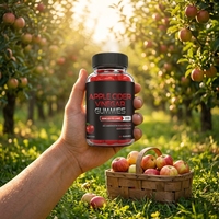 Gummies au vinaigre de cidre de pomme sans sucre, saveur pomme, 60 unités, complément alimentaire, marque privée