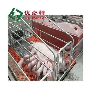 Good Quality Farrowing Crates Farrowing Crates Pig Farm Equipment For Farrowing Pen