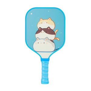 Set de Pickleball Compacto de Fibra de Vidrio, Favorito de los Estudiantes para el Dormitorio Universitario y el Campus, con Bolsa y Pelotas - Product Image 2