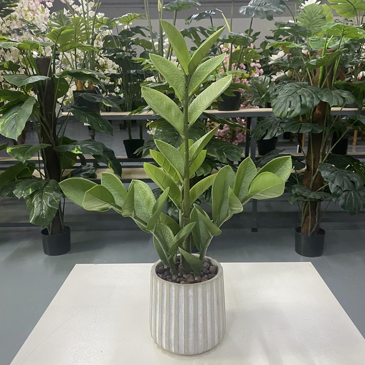 is pothos pet friendly Neon Pothos Indoor Plant in a 4