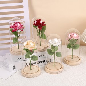 Enchanted Forever Rose Glass Dome Beauty and the Beast Design Rose Flower avec lumières LED Cadeau romantique pour petite amie - Product Image 3