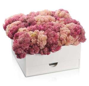 Ensemble de 8 pièces personnalisé en acrylique pour Birkat Hamazon, comprenant un vase à fleurs, un ensemble Zemiros et un ensemble Bencher, cadeau juif - Product Image 6
