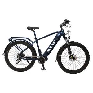 Mercato USA e canada cinese 2 posti mountain E-bike bici elettrica bicicletta adulto/e-bike con portapacchi posteriore