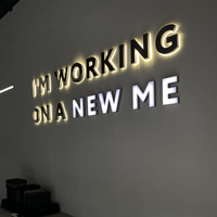 Nouveau panneau mural LED personnalisé avec logo de marque d'entreprise en acier inoxydable, enseigne LED 3D, panneau lumineux pour l'extérieur et l'intérieur, logo en relief