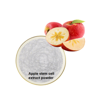 Poudre de cellules souches de raisin blanc naturel de qualité alimentaire supérieure avec ingrédients vitaminés pour les soins de la peau, en emballage bouteille/fût